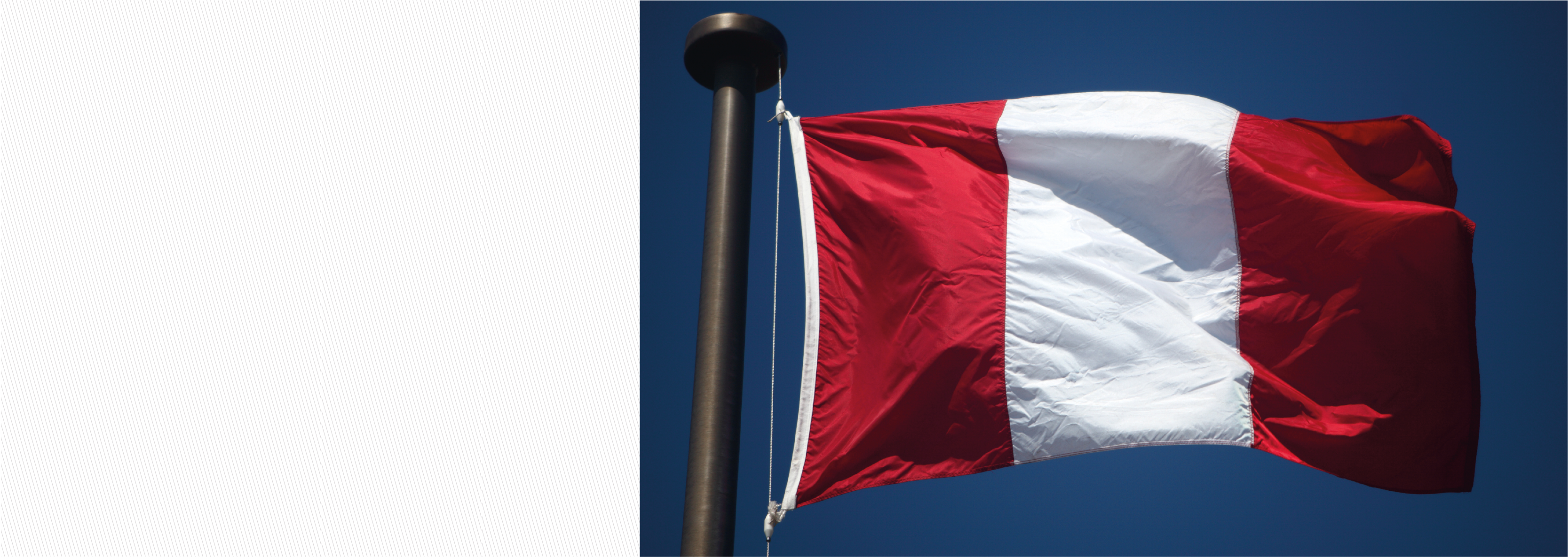 banner_bandera