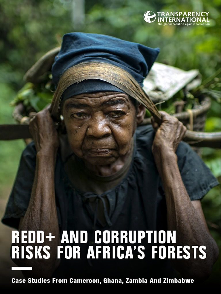 REDD+ and corruption risks for Africa's forests: case studies from Cameroon, Ghana, Zambia and Zimbabwe