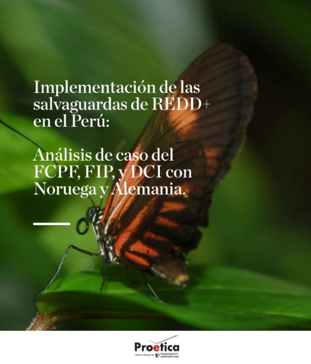 Implementación de las salvaguardas de REDD+ en el Perú: Análisis de caso del FCPF, FIP, y DCI con Noruega y Alemania