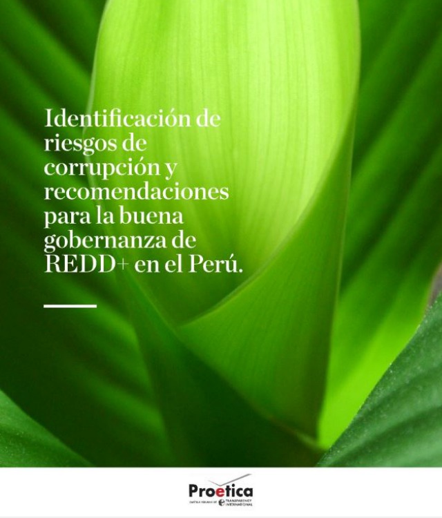 Identificación de riesgos de corrupción y recomendaciones para la buena gobernanza de REDD+ en el Perú