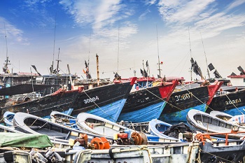 The large fisheries harbor, full of boats and trawlers ? Asia.